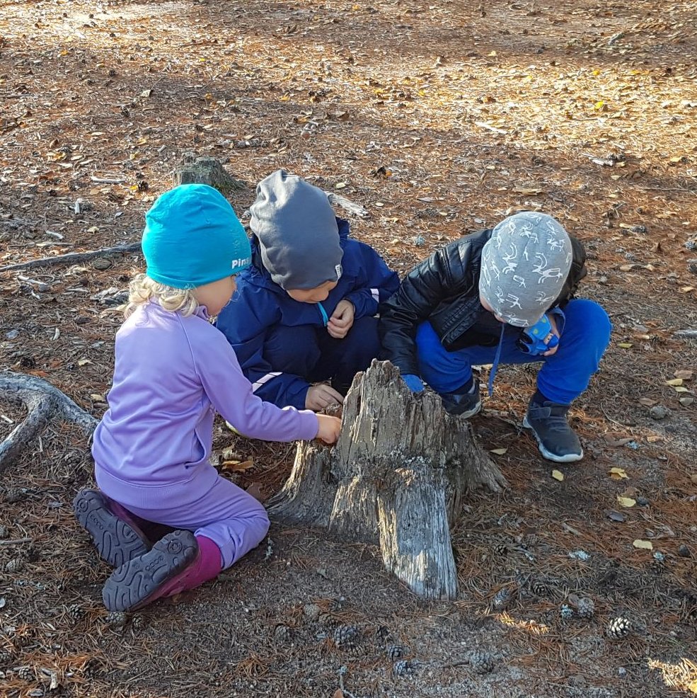 Kolme lasta leikkimässä kuivahtaneen kannon ympärillä.