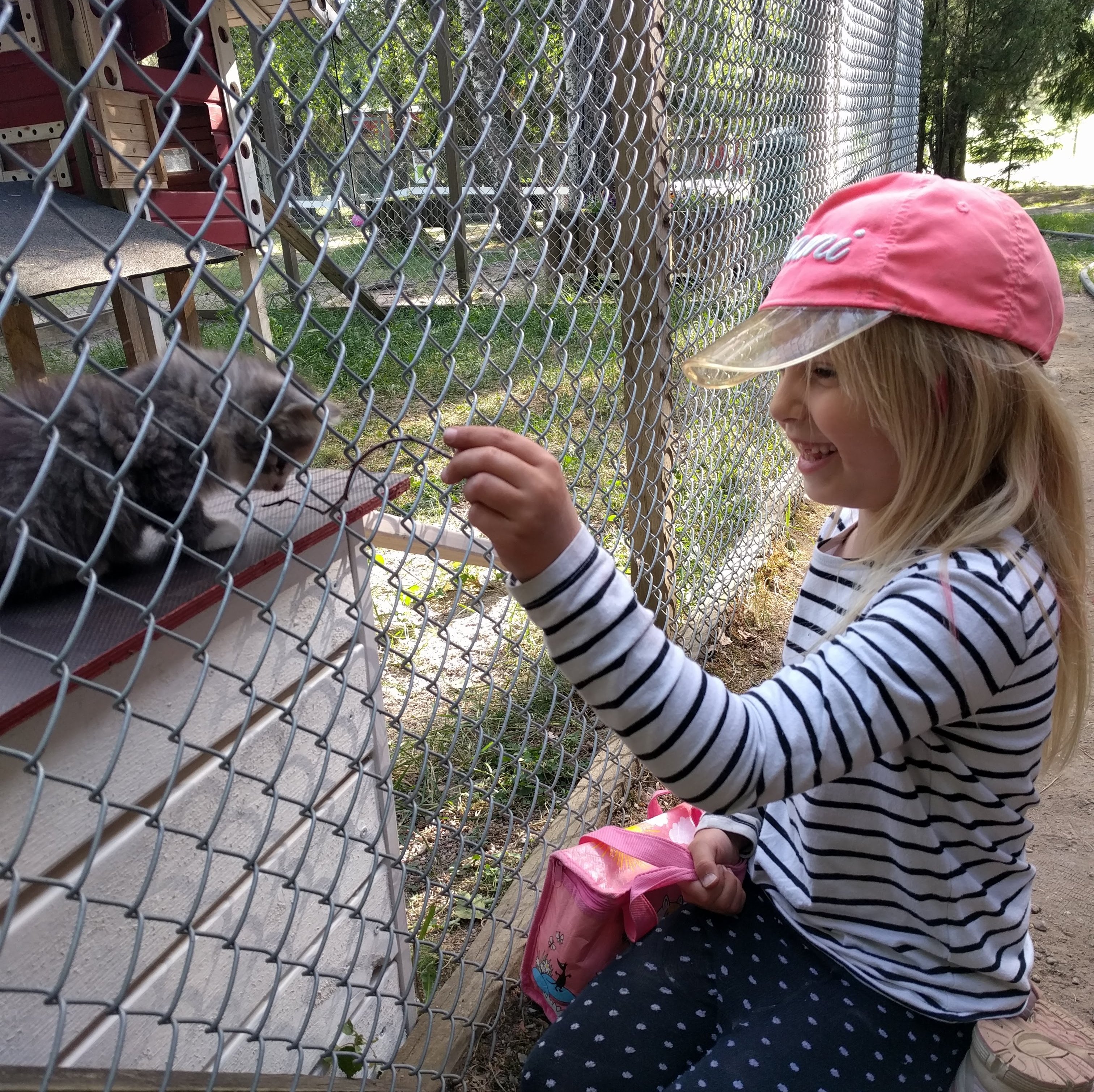 Naurava tyttö leikittää harmaata kissanpentua häkin läpi.