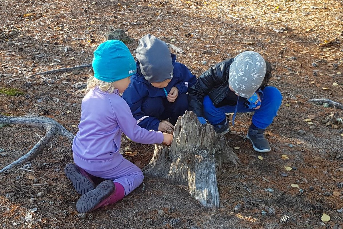 Kolme lasta leikkimässä kuivahtaneen kannon ympärillä.